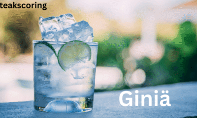 giniä