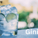 giniä