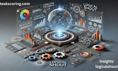 insights logicalshout