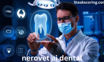 nerovet ai dental