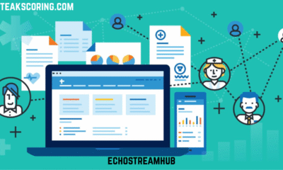 echostreamhub