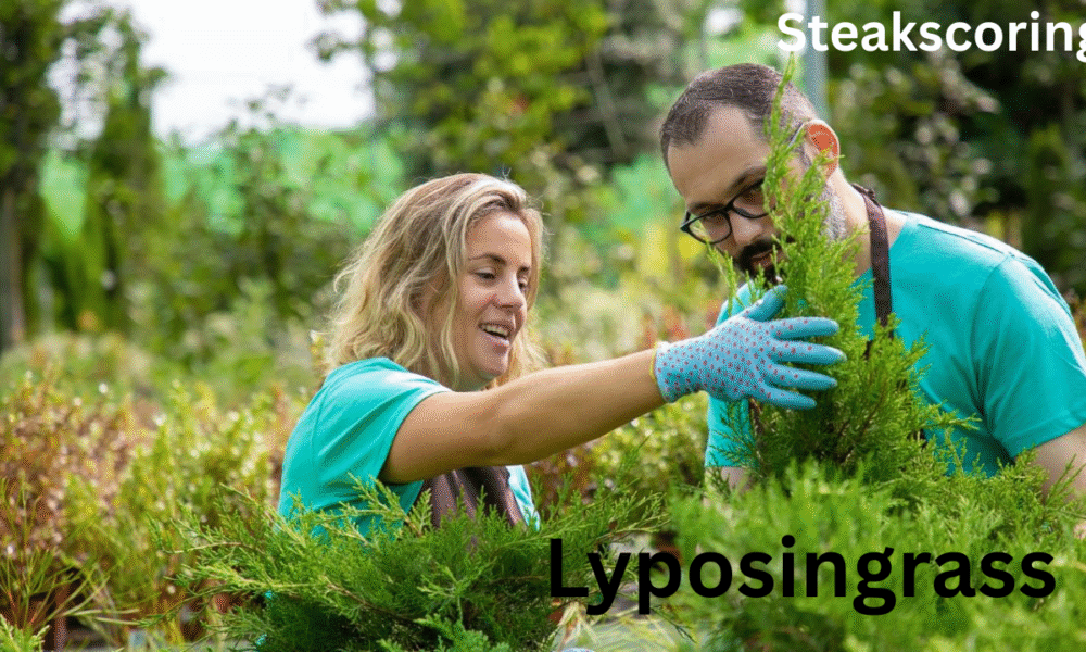 lyposingrass