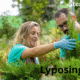 lyposingrass