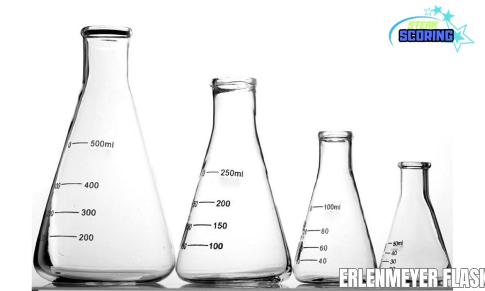Erlenmeyer Flask