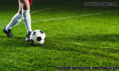 Players Infoguide Dmgconselistas